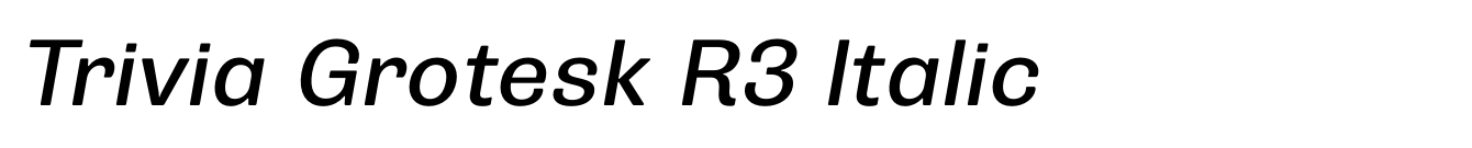 Trivia Grotesk R3 Italic